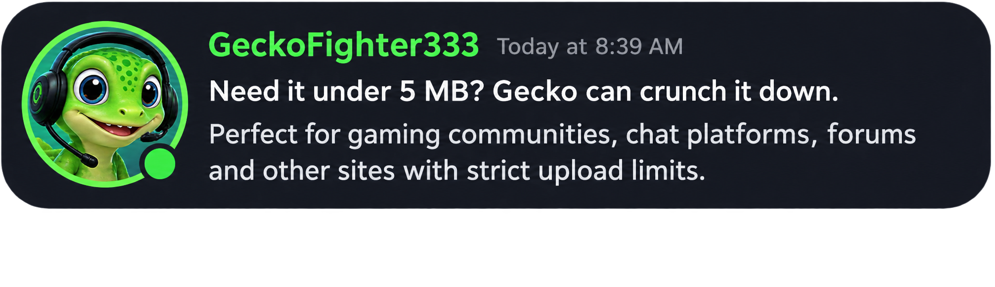 GeckoFighter333 says: Need it under 5 MB? Gecko can crunch it down. Perfect for gaming communities, chat platforms, forums and other sites with strict upload limits.